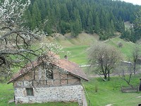 Пастбище горы с двумя зданиями