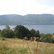 Сельскохозяйственный участок земли для продажи недалеко от Доспата