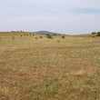 Сельскохозяйственный участок земли для продажи недалеко от Сливена