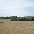 Сельскохозяйственный участок земли для продажи около Созополя