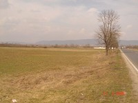 Сельхоз земля в Варна