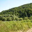 Лес для продажи недалеко от города Трявна