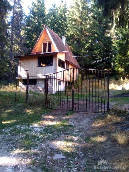 Продается дом в горах недалеко от Доспата
