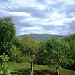 Дом для продажи недалеко курорта Берковица