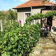 Дом с виноградником для продажи в городе Лом