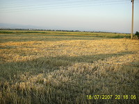 Сельхоз земля в София