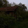 Сельский дом рядом с лесом и рекой