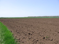 Сельхоз земля в Каварна