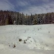 Апартаменты В Pamporovo
