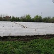 Обаятельная дом в деревне