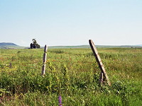 приземлитесь около моря