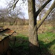 Дом в Елхово области
