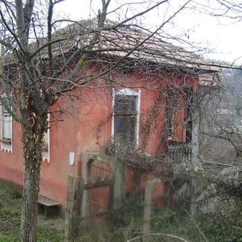 Дом в 500 кв М сад