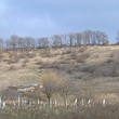 А дом с огромным садом