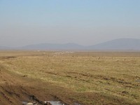 Сельскохозяйственная земля для продажи возле Бургас