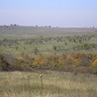 Сельскохозяйственная земля для продажи недалеко от Болярово