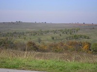 Сельскохозяйственная земля для продажи недалеко от Болярово