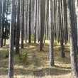 Участок в гору