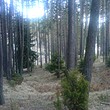 Участок в гору
