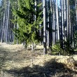 Участок в гору