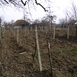 Большое владение с двумя зданиями