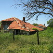 Сельский дом с большим садом