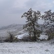 Малый коттедж в горах