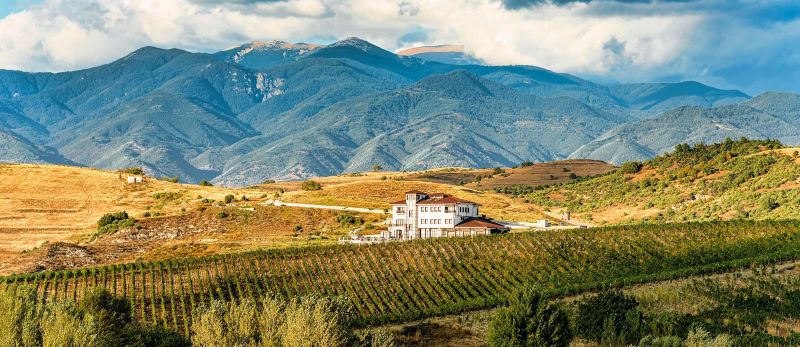villa-melnik-winery