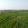 Сельскохозяйственная земля для продажи недалеко от Бургаса