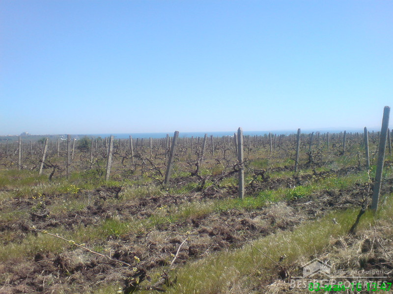 Сельскохозяйственный участок земли для продажи недалеко от Помория