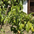 Потрясающий дом на продажу на морском курорте Ахелой