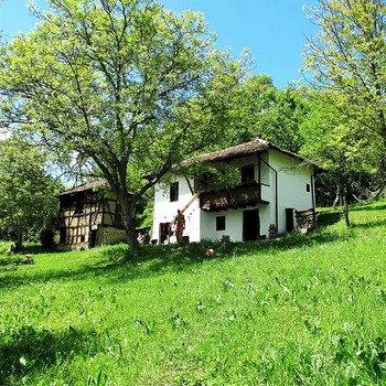 Дома в Правец