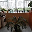 Кирпичная четырехкомнатная квартира на продажу в Велико Тырново