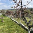Сельский дом на продажу недалеко от Монтаны
