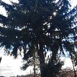 Загородный дом на продажу недалеко от Павликени