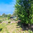 Уютный дом на продажу рядом с Тырговиште