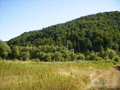 Лес для продажи недалеко от города Трявна