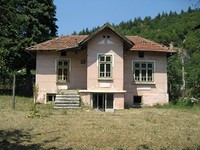 Дома в Берковица