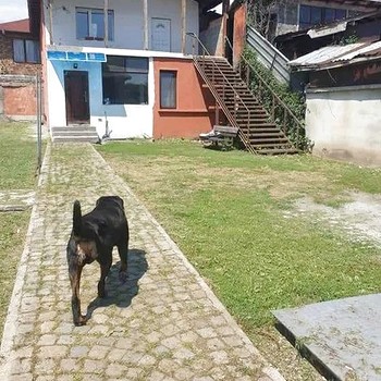 Дома в София