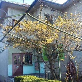 Дома в Велико Тырново