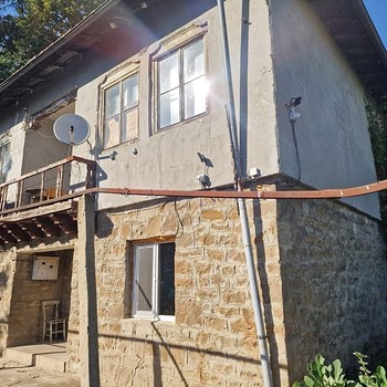 Дома в Павликени