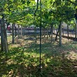 Дом на продажу в центре Испериха
