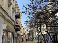 Дома в София