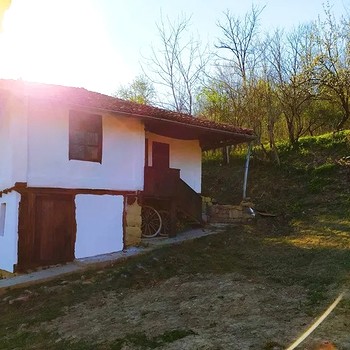 Дома в Елена