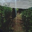 Дом на продажу в рядом с г. Плевен