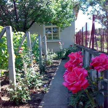 Дома в Плевен