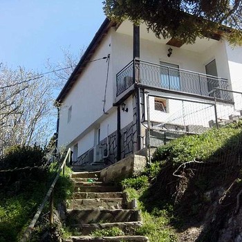 Дома в Елин Пелин