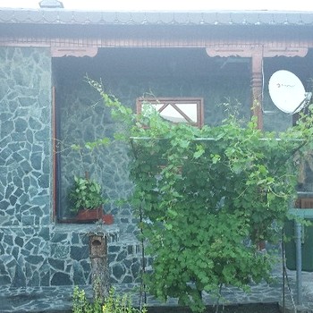 Дома в Костинброд