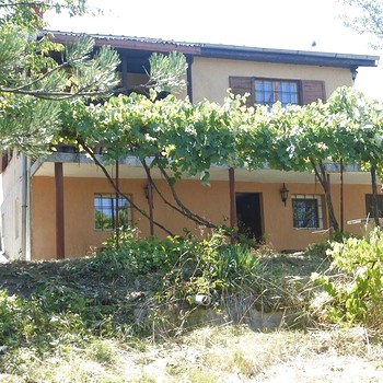 Дома в Перник