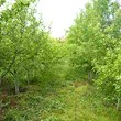 Дом для продажи недалеко от Санданского
